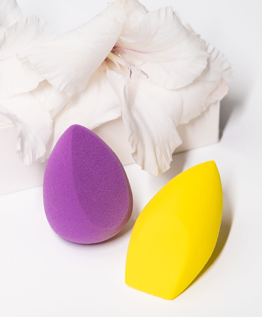 Sponge With Lucent Matte Foundation